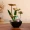 Indoor Fountain Humidifier – Desktop Relaxation Decor