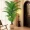 35-Inch Artificial Palm Plant – No Pot